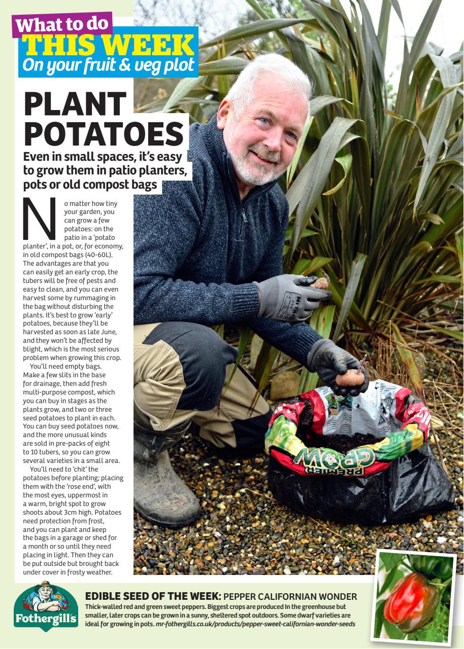 Garden News Preview Pages