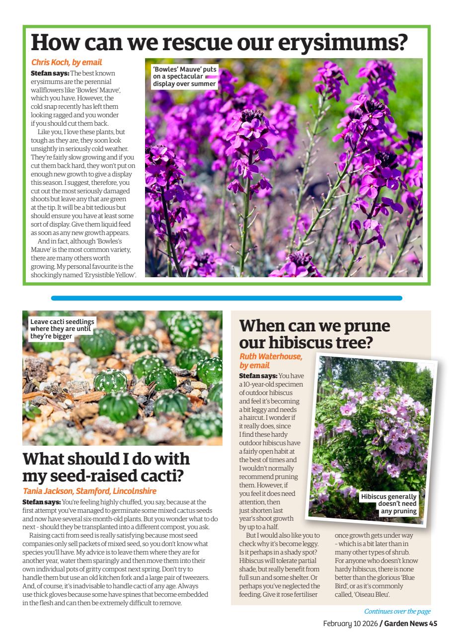 Garden News Preview Pages