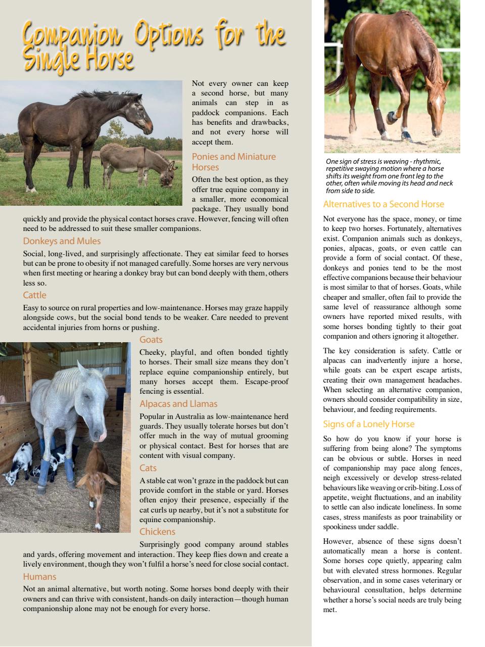 Hoofbeats Preview Pages