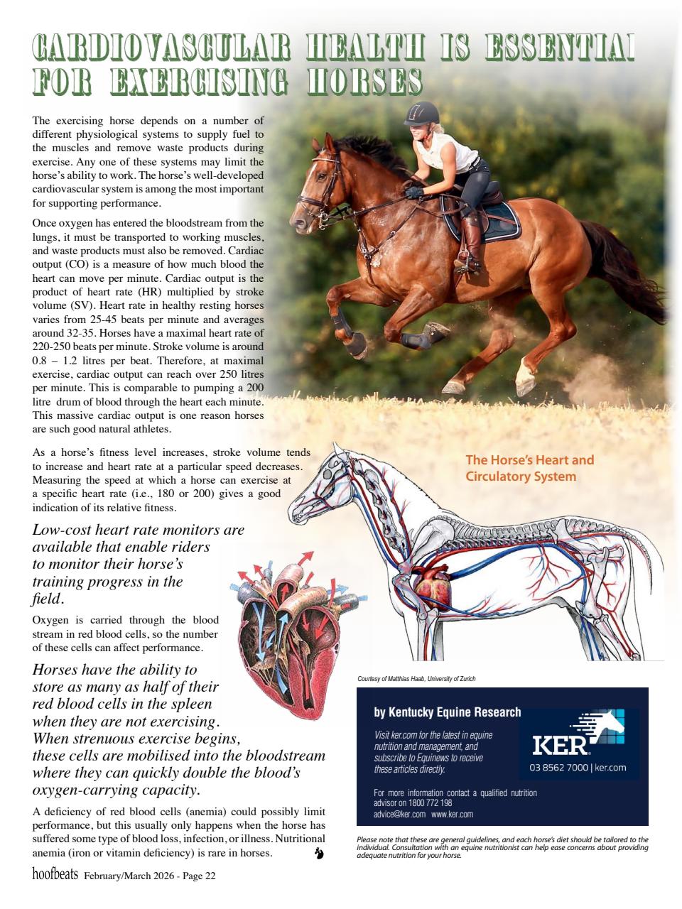 Hoofbeats Preview Pages