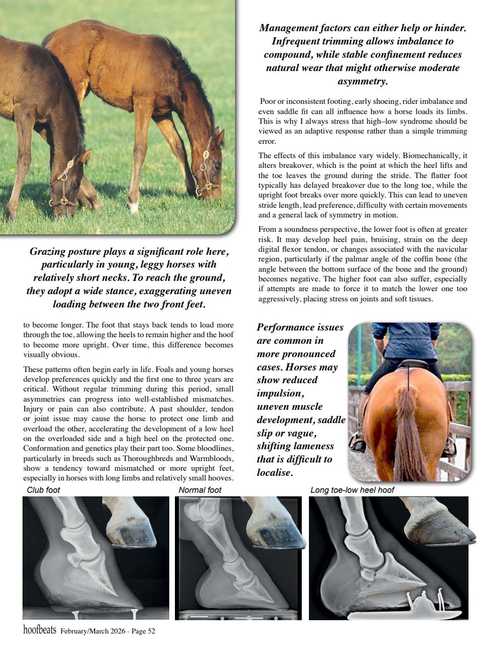 Hoofbeats Preview Pages