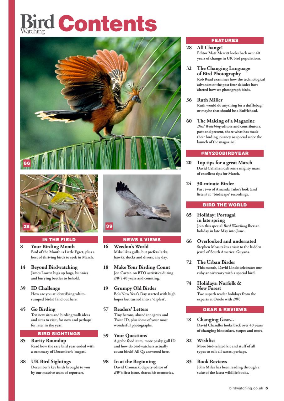 Bird Watching Preview Pages