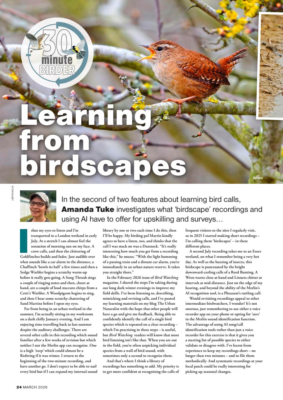 Bird Watching Preview Pages
