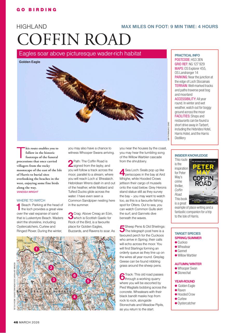 Bird Watching Preview Pages