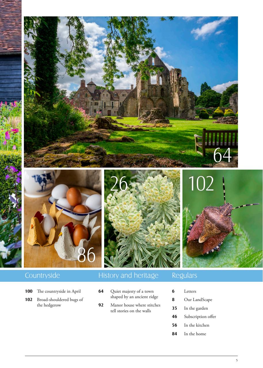 LandScape Preview Pages