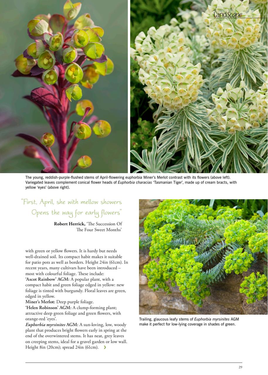 LandScape Preview Pages