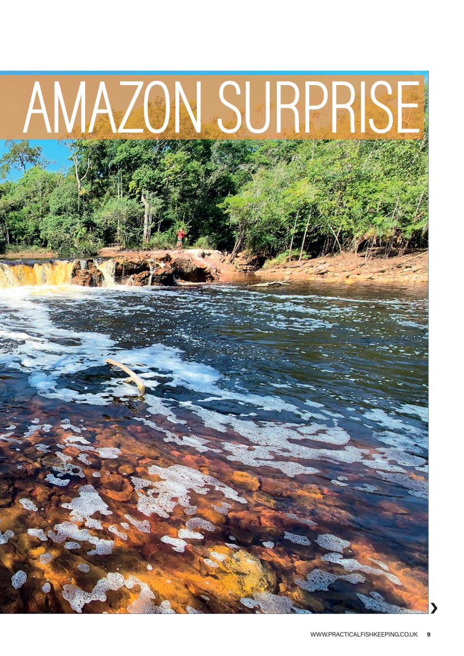 Practical Fishkeeping Preview Pages