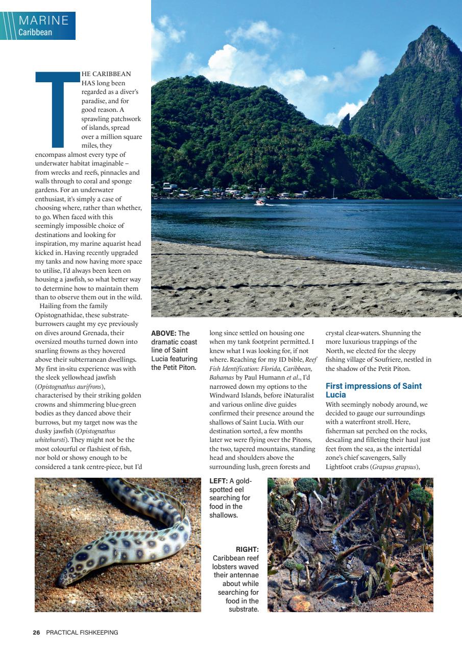 Practical Fishkeeping Preview Pages