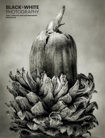 Black+White Photography issue Issue 311
