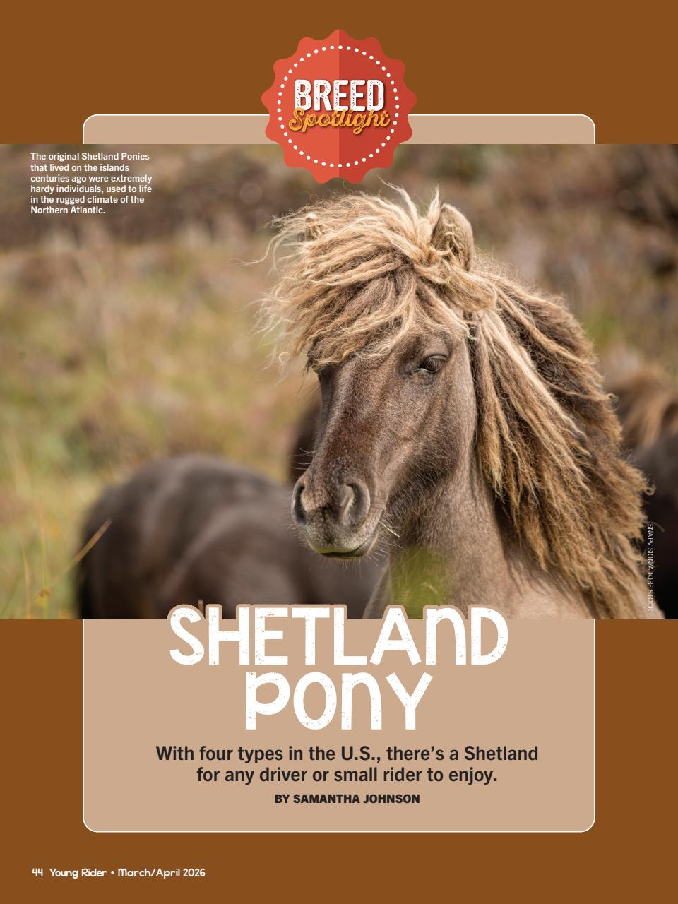 Young Rider Magazine Preview Pages