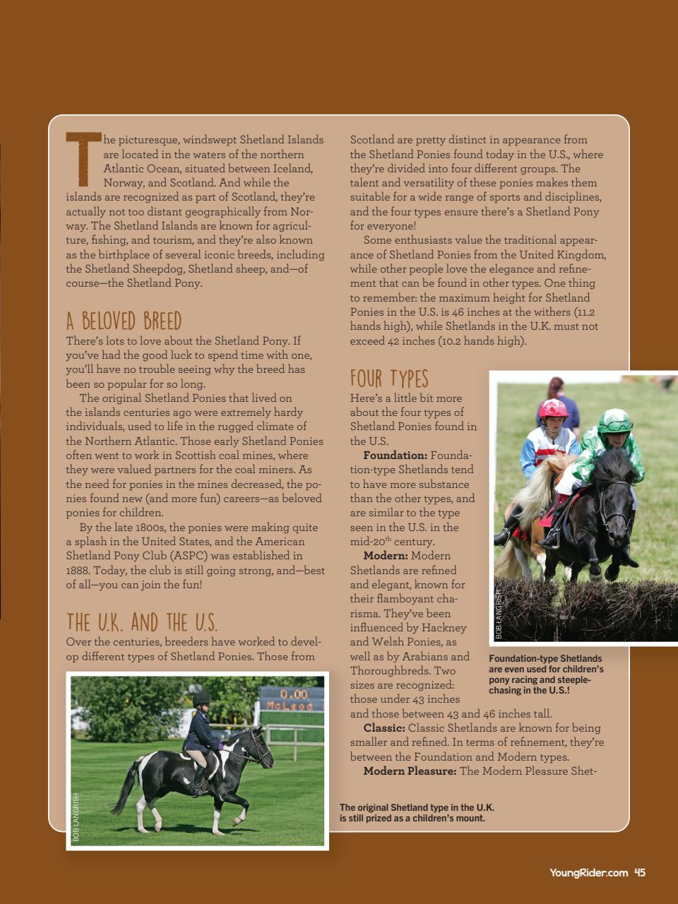 Young Rider Magazine Preview Pages