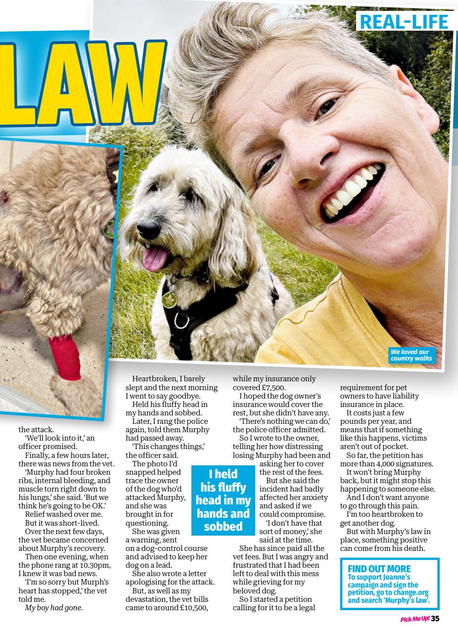 Pick Me Up! Special Preview Pages