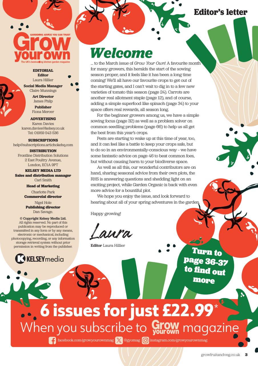 Grow Your Own Preview Pages