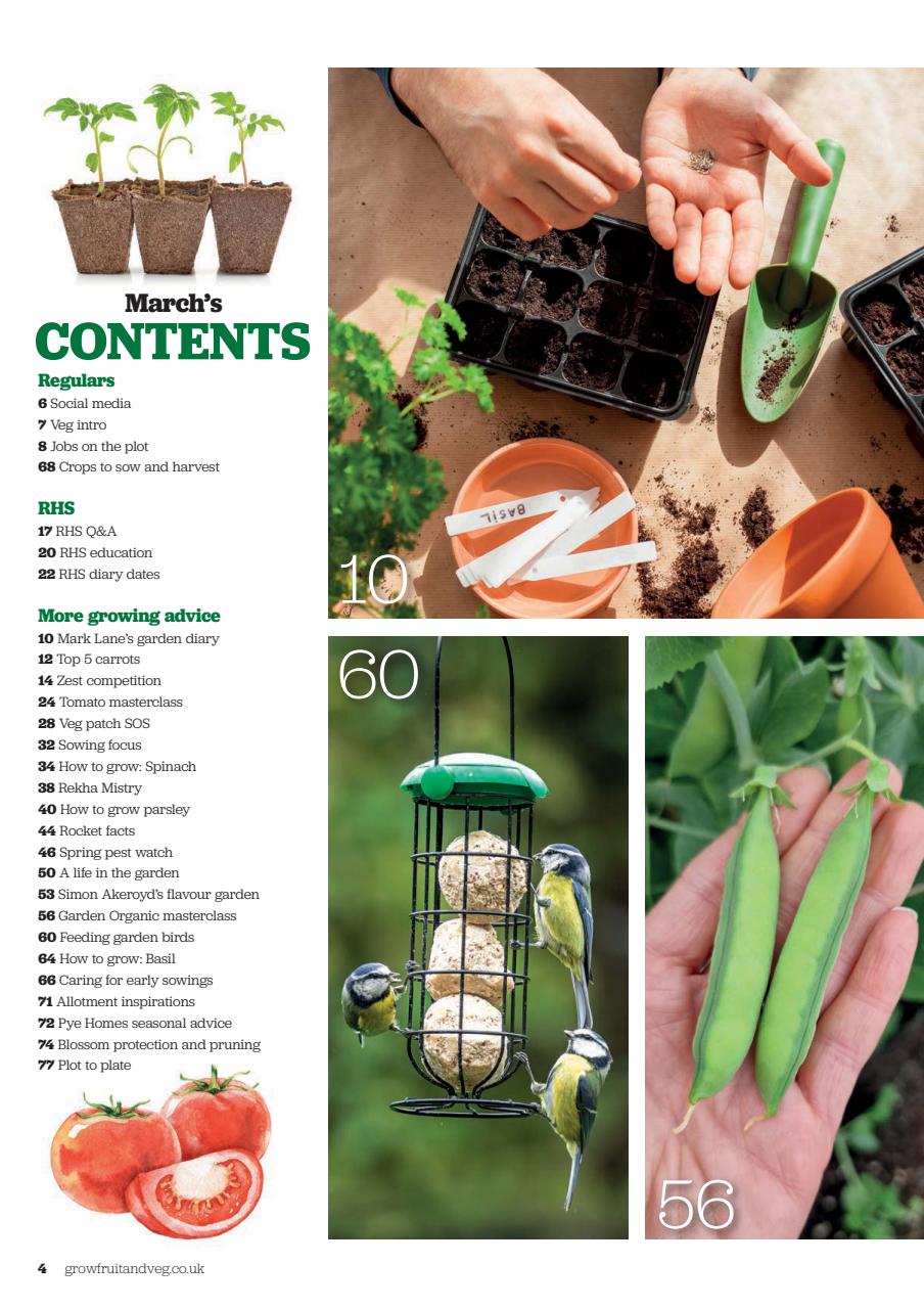 Grow Your Own Preview Pages