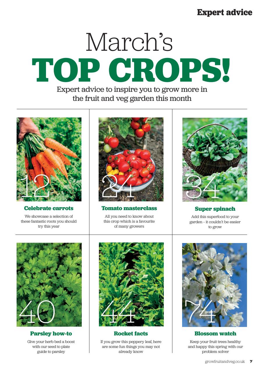 Grow Your Own Preview Pages