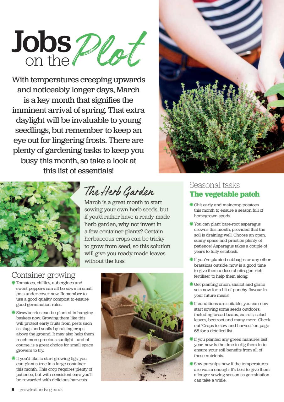 Grow Your Own Preview Pages