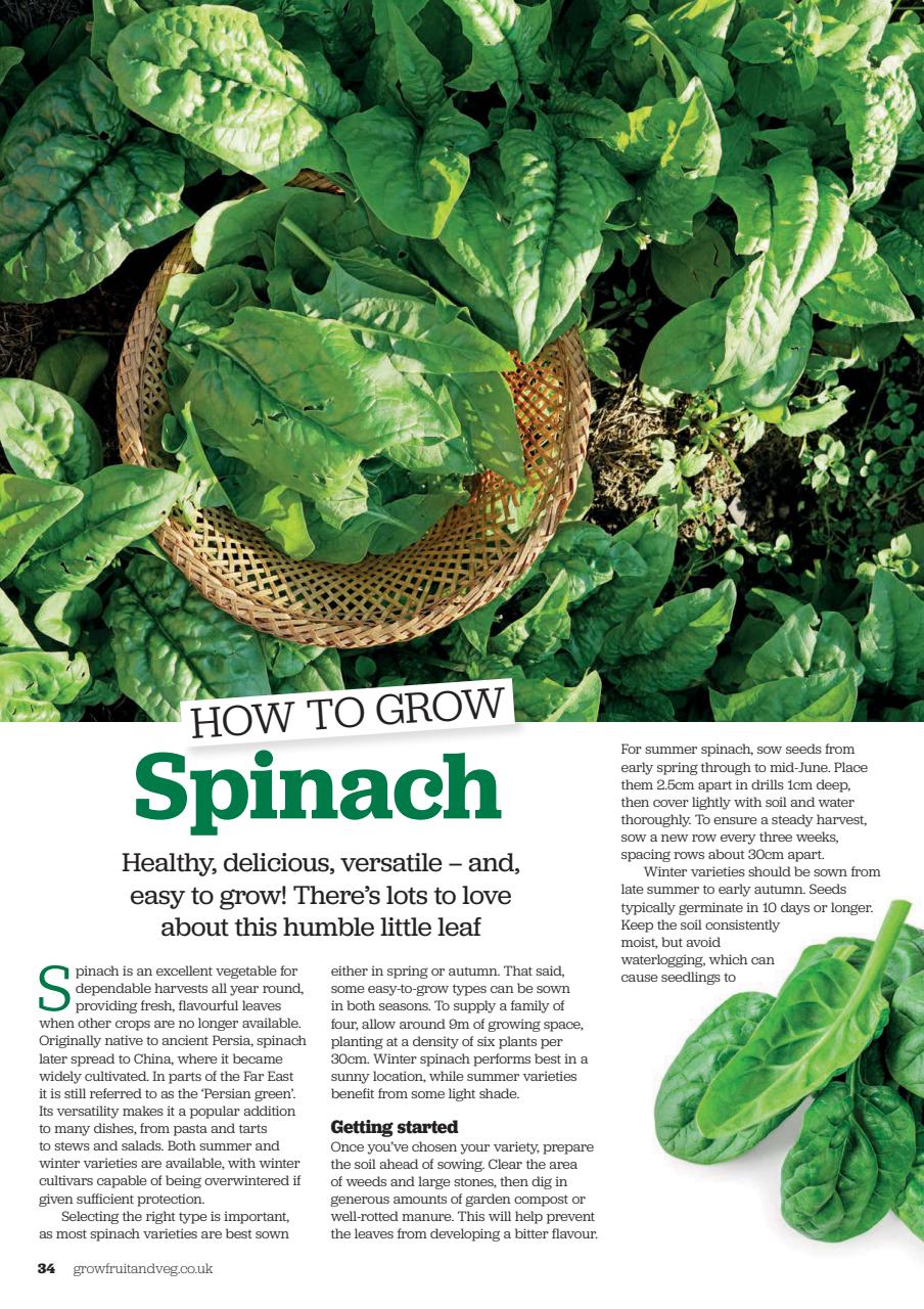 Grow Your Own Preview Pages