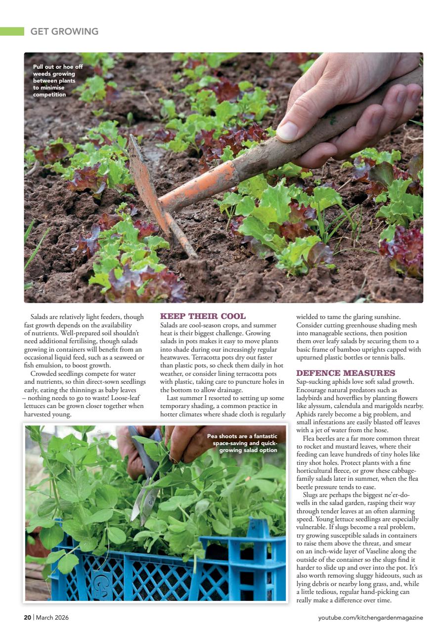 Kitchen Garden Magazine Preview Pages