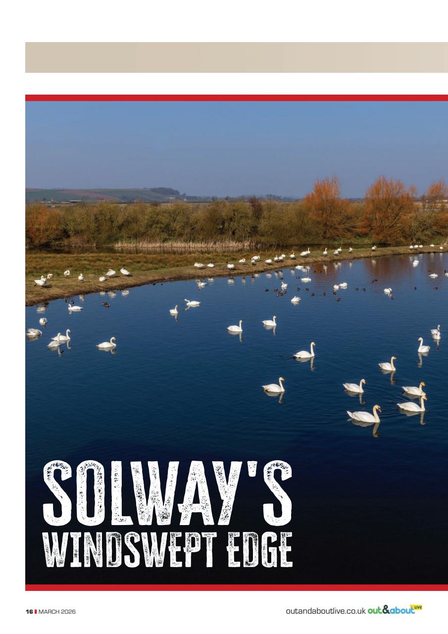 Campervan Preview Pages