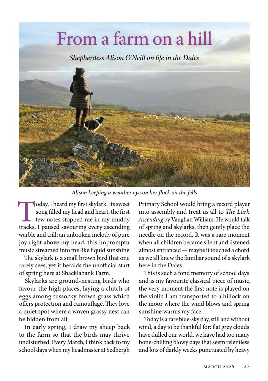 The Yorkshire Dalesman Preview Pages