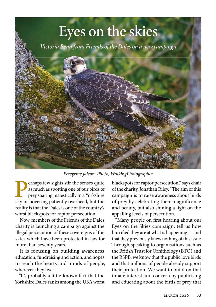 The Yorkshire Dalesman Preview Pages