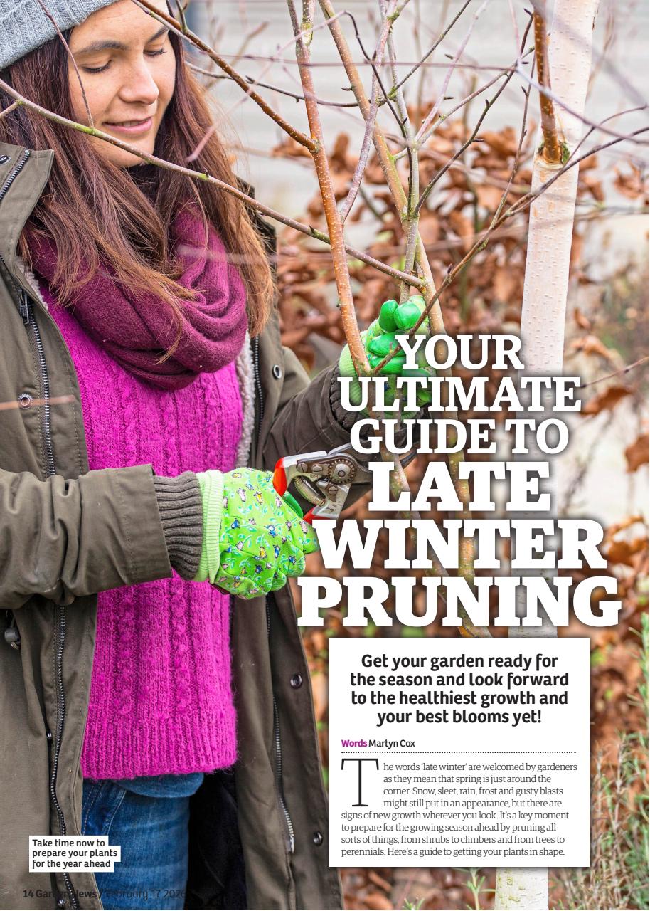 Garden News Preview Pages