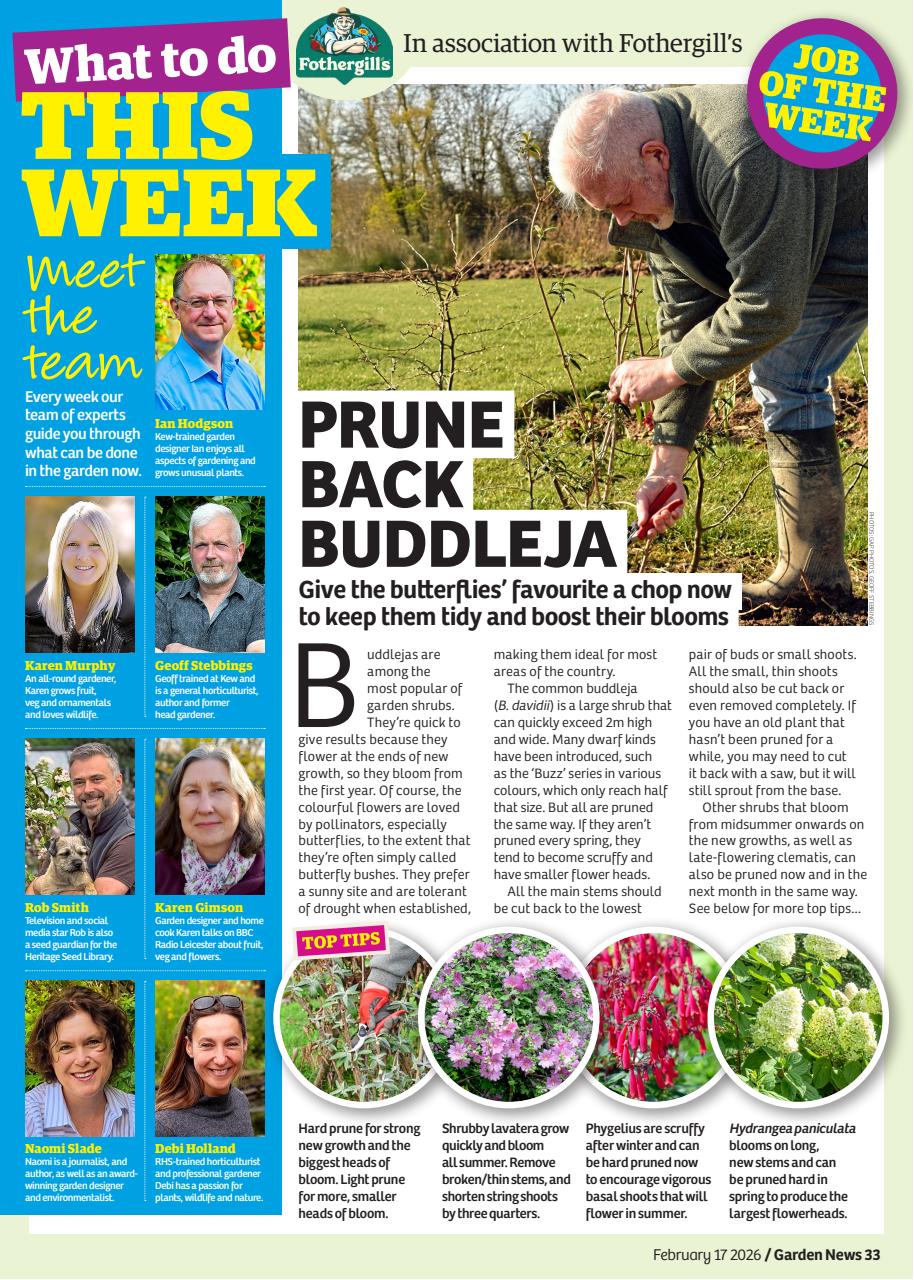 Garden News Preview Pages