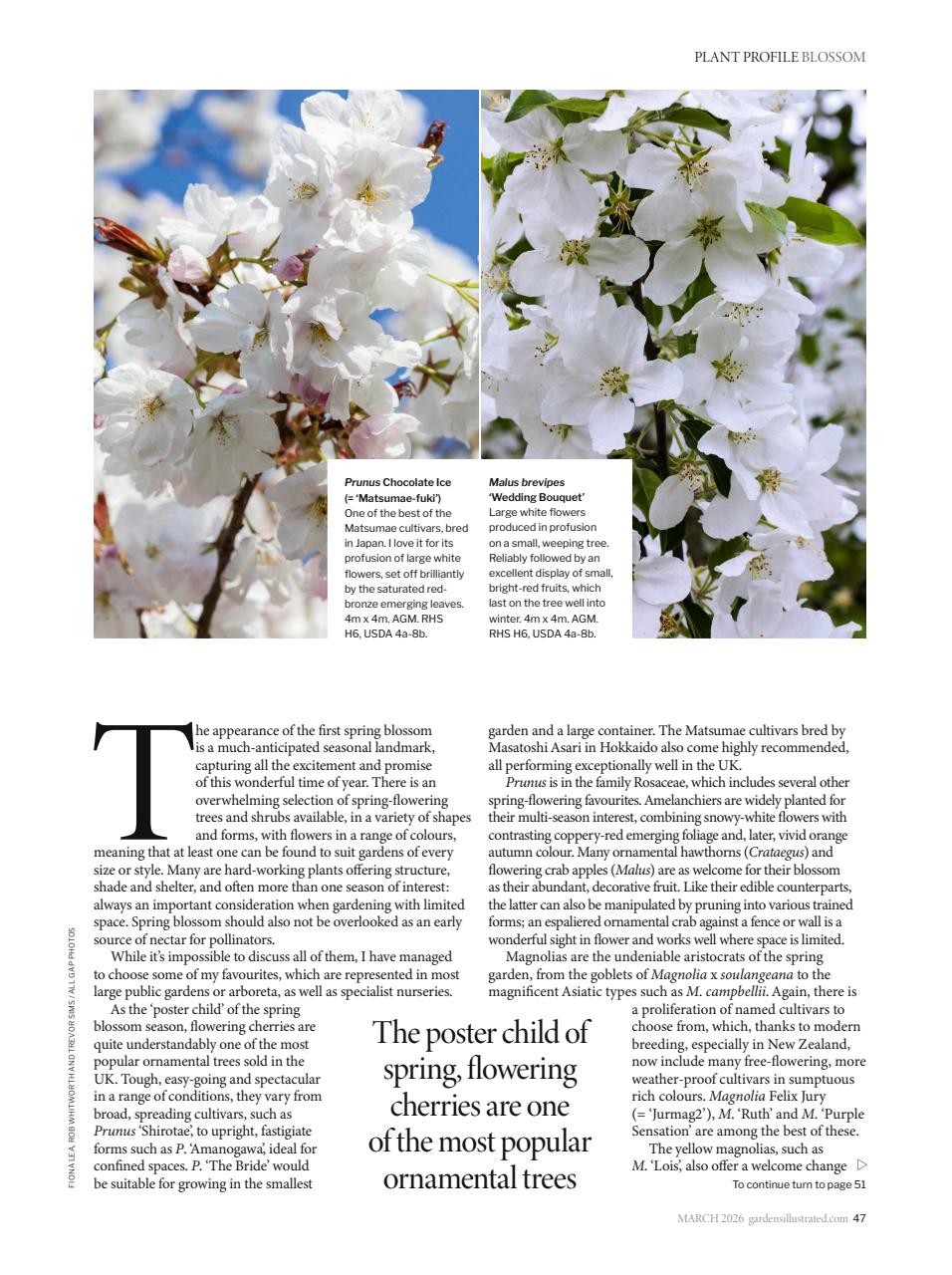 Gardens Illustrated Preview Pages