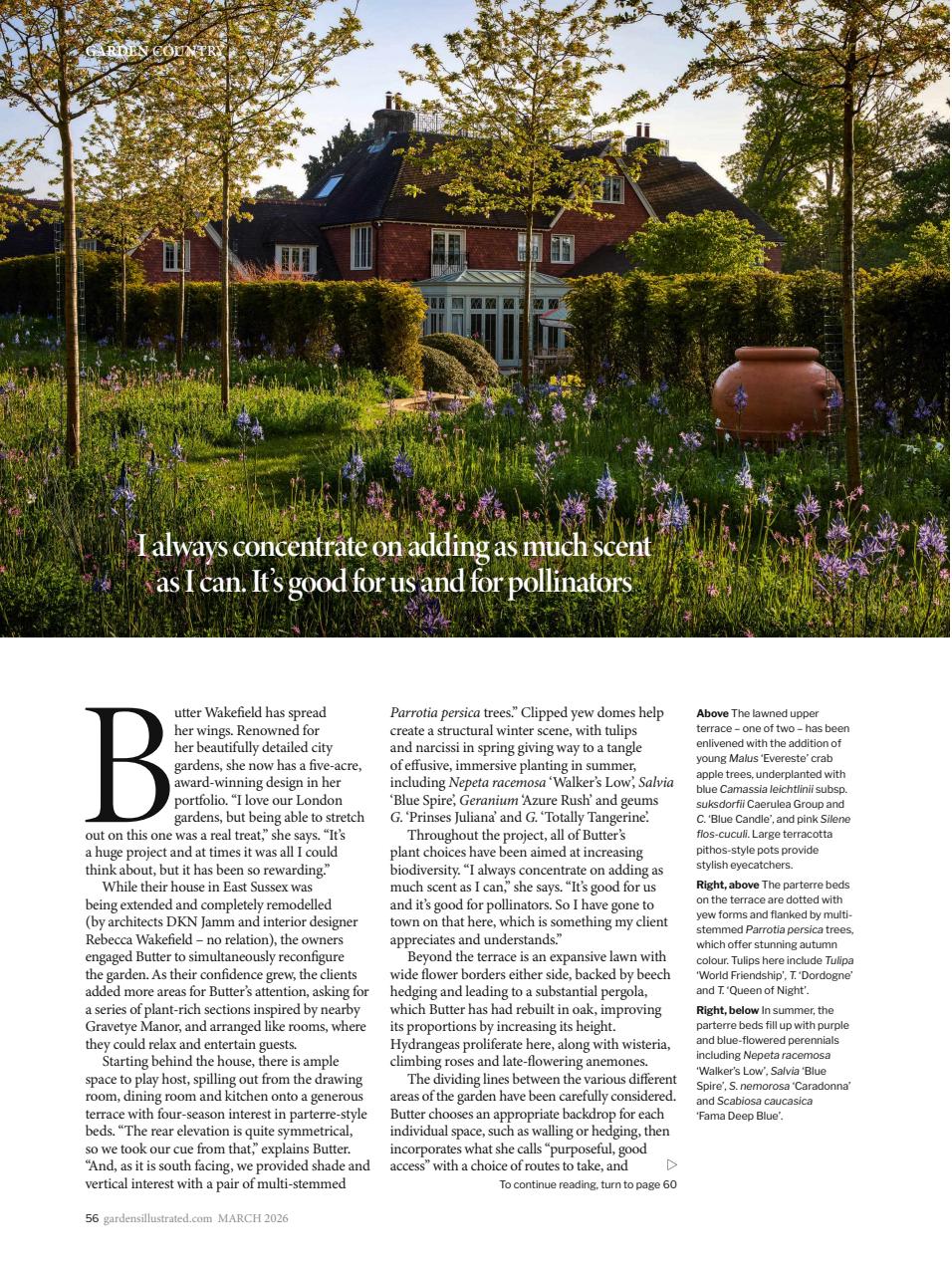 Gardens Illustrated Preview Pages