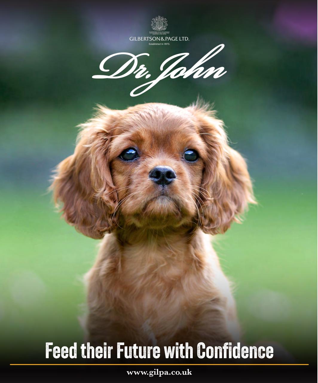 Gundog Journal Preview Pages