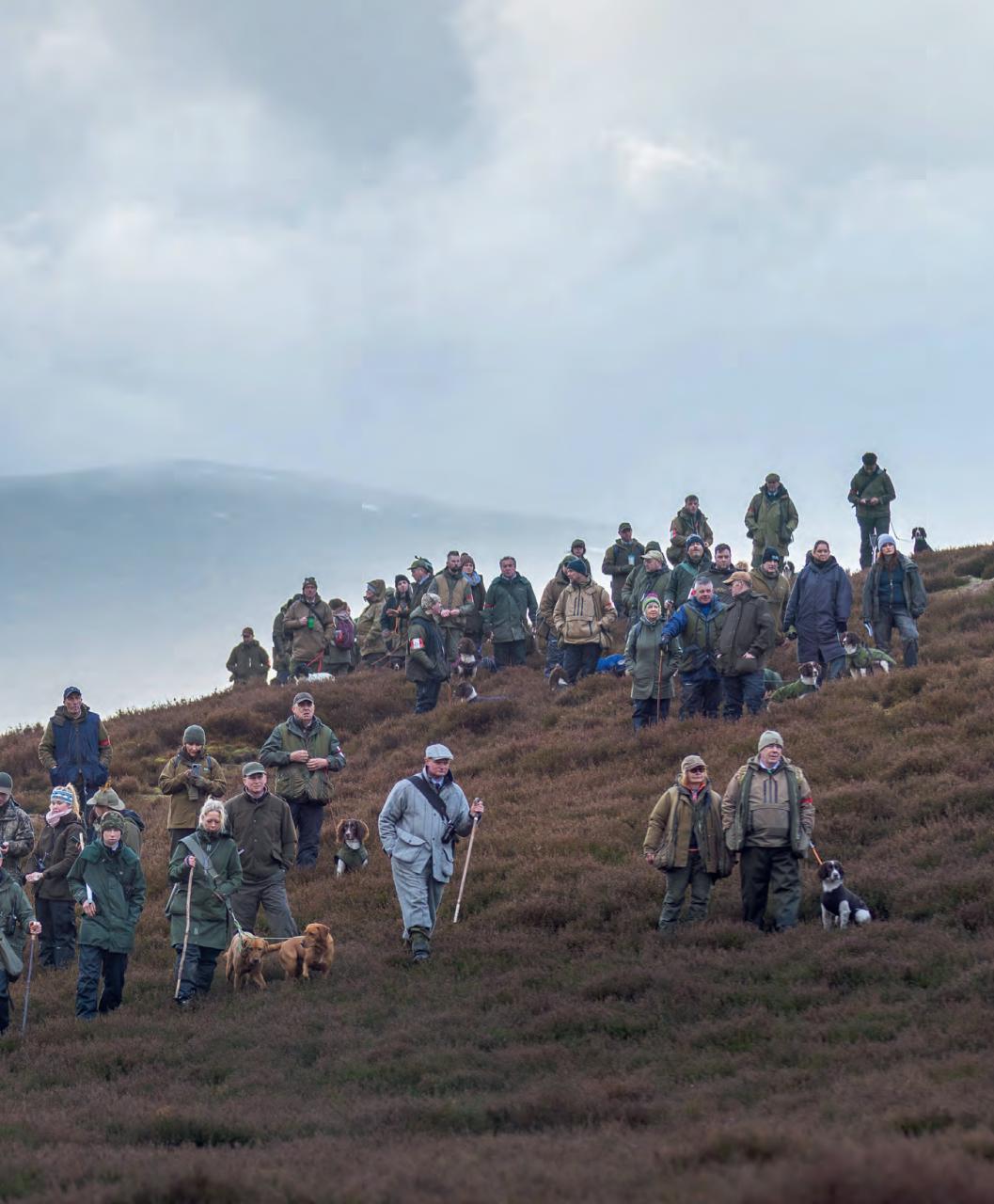 Gundog Journal Preview Pages