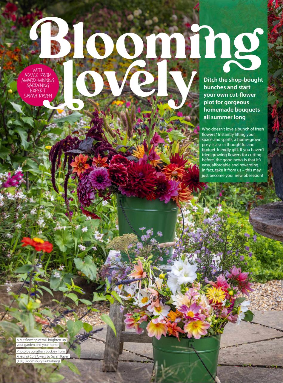 Homestyle Preview Pages