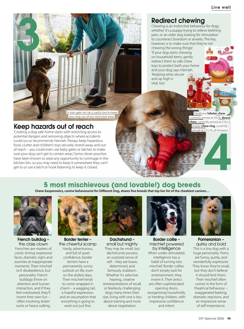 Homestyle Preview Pages