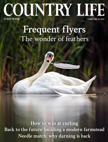 Country Life issue 18th February 2026