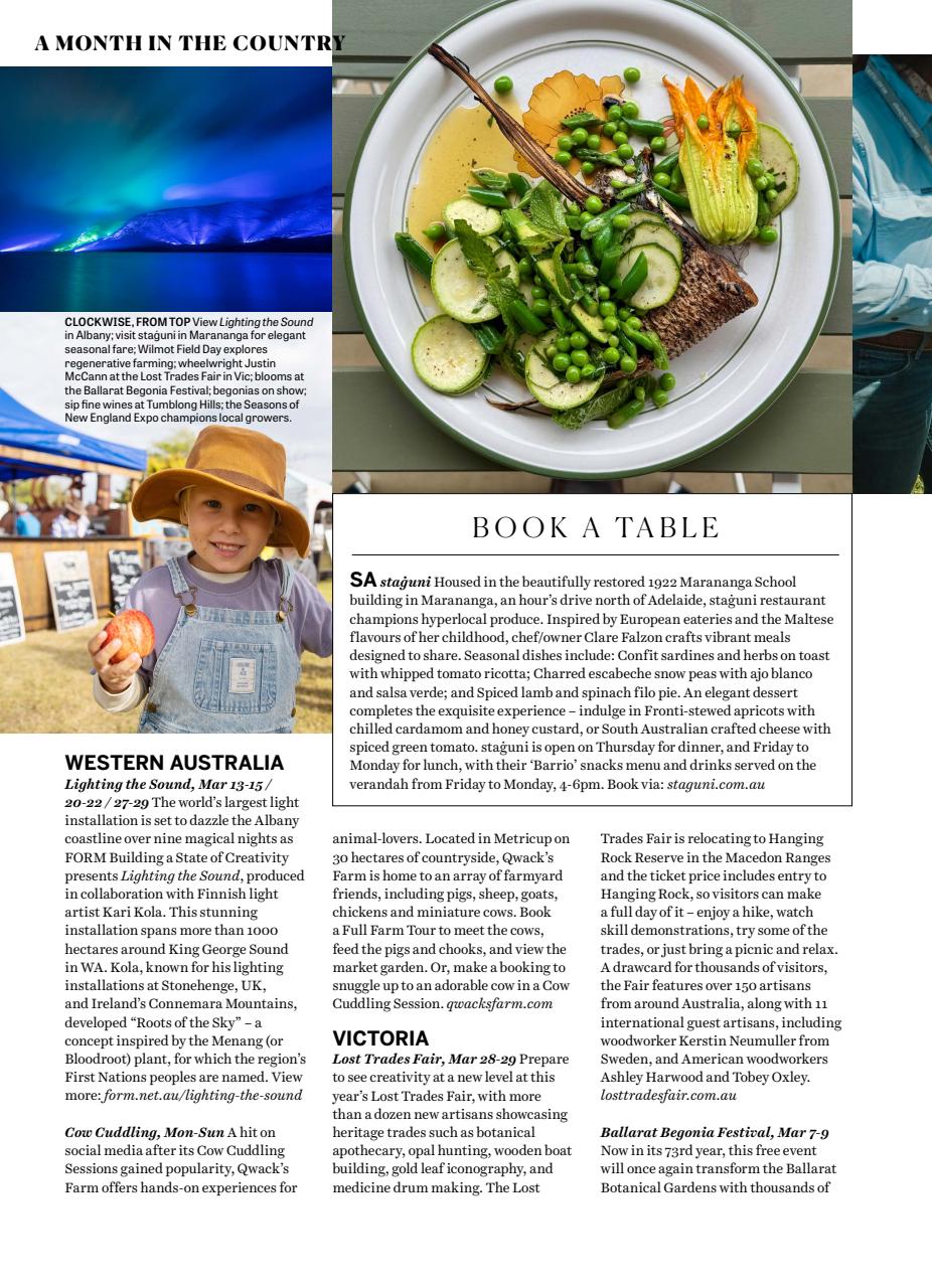 Country Style Preview Pages