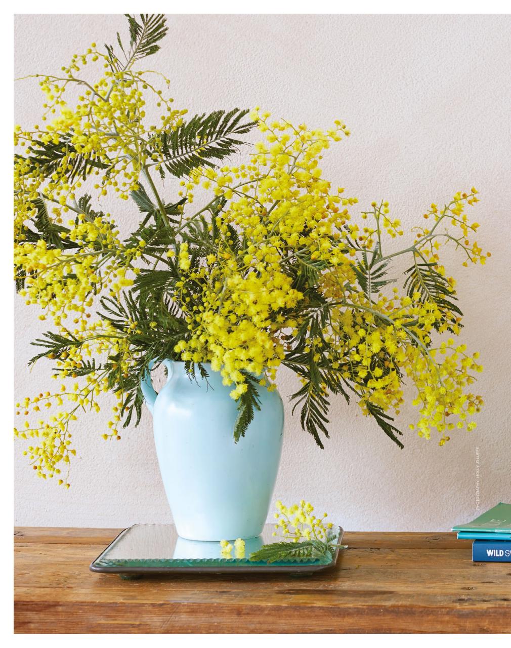 The Simple Things Preview Pages