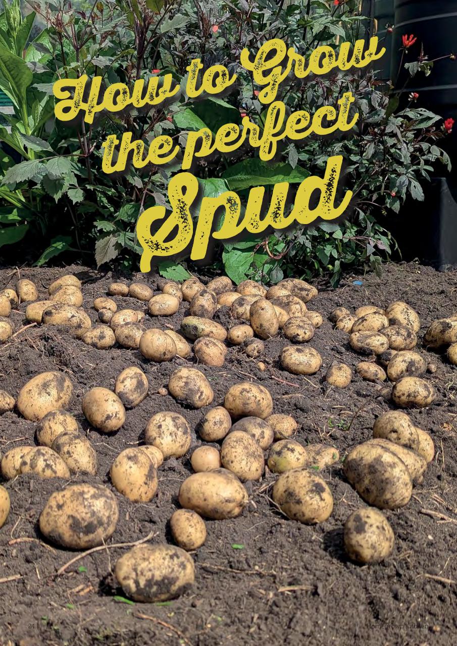 Homegrown Kitchen Preview Pages