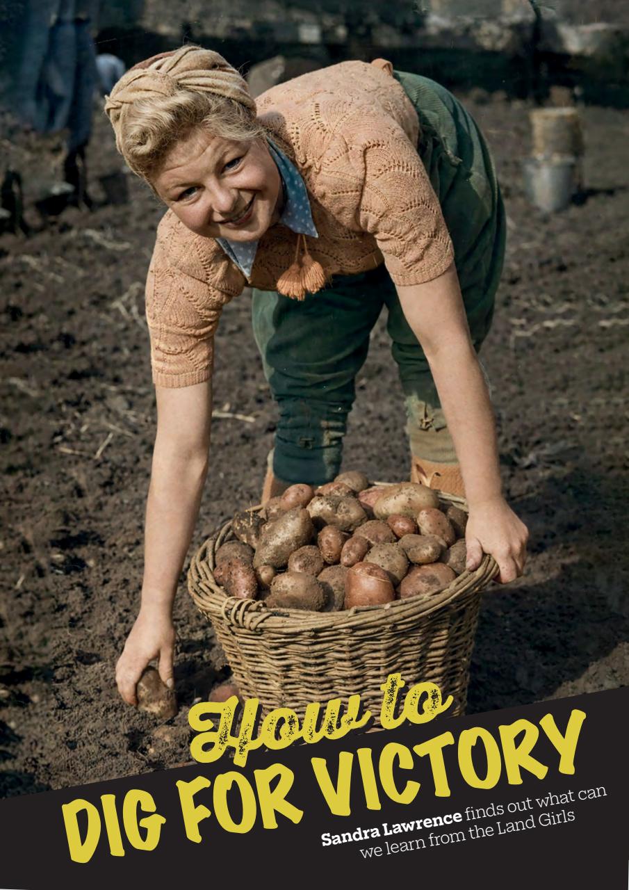 Homegrown Kitchen Preview Pages