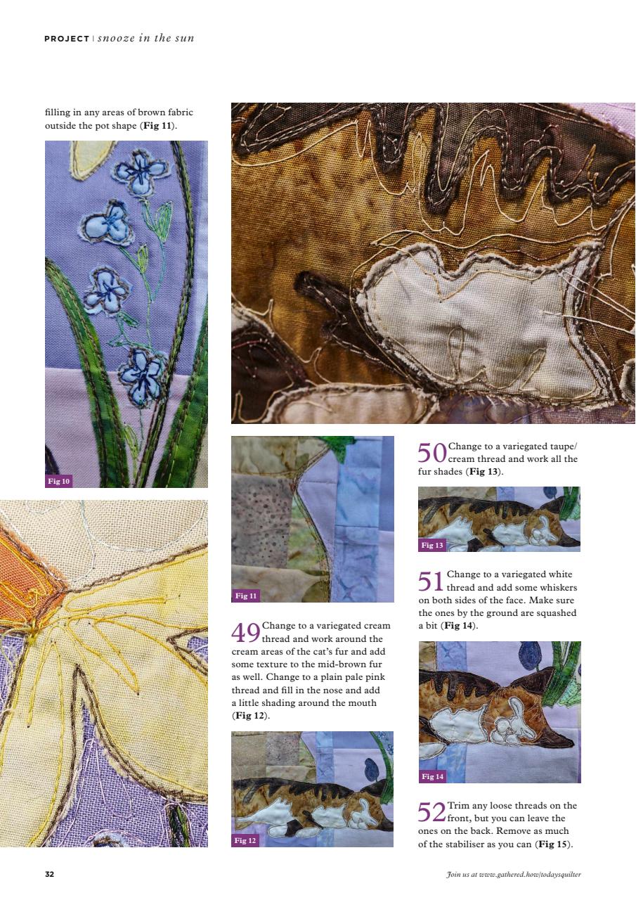 Today’s Quilter Preview Pages