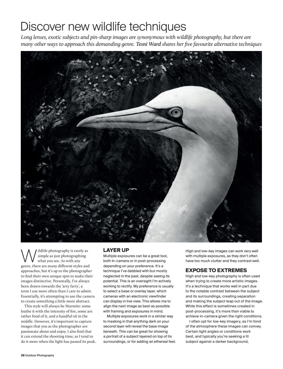 Outdoor Photography Preview Pages