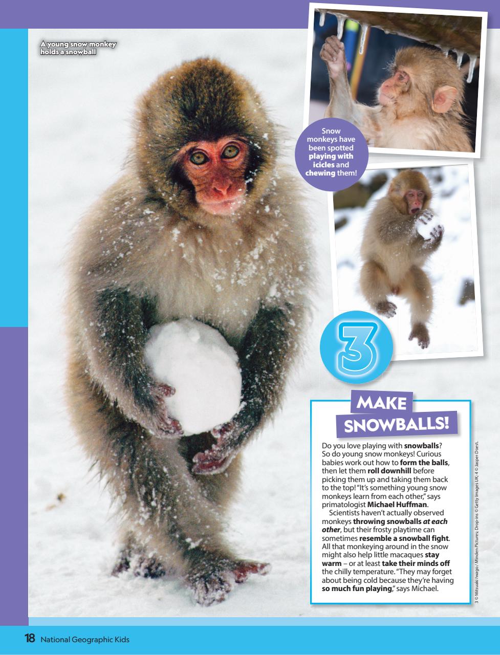 National Geographic Kids Preview Pages