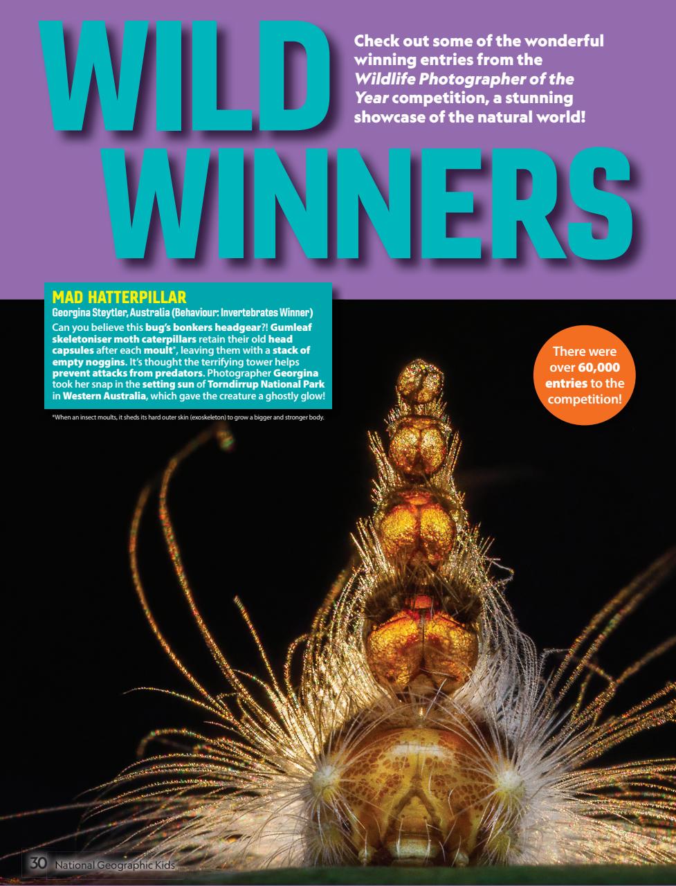 National Geographic Kids Preview Pages