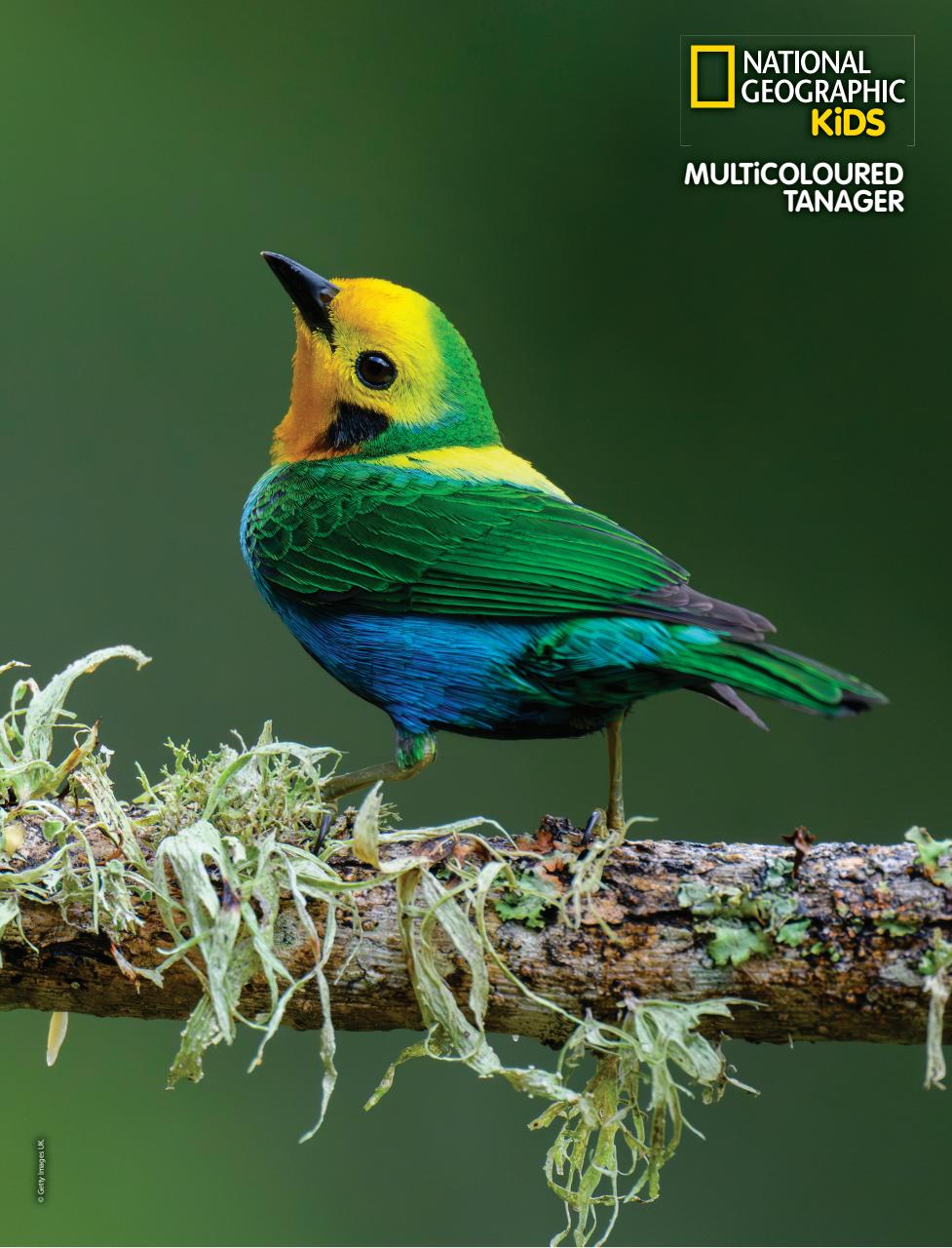 National Geographic Kids Preview Pages