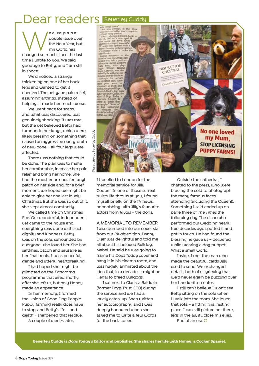 Dogs Today Magazine Preview Pages