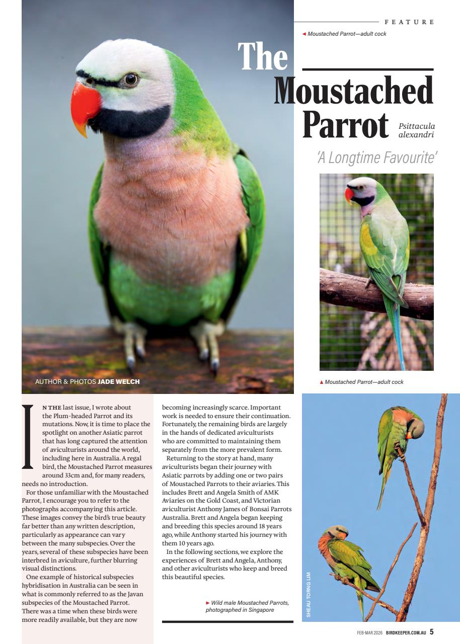 Australian Birdkeeper Magazine Preview Pages