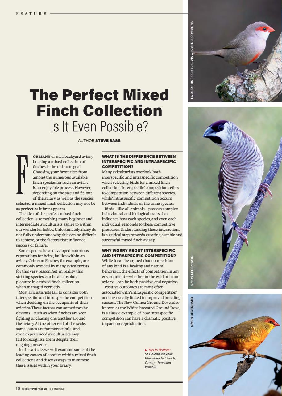 Australian Birdkeeper Magazine Preview Pages