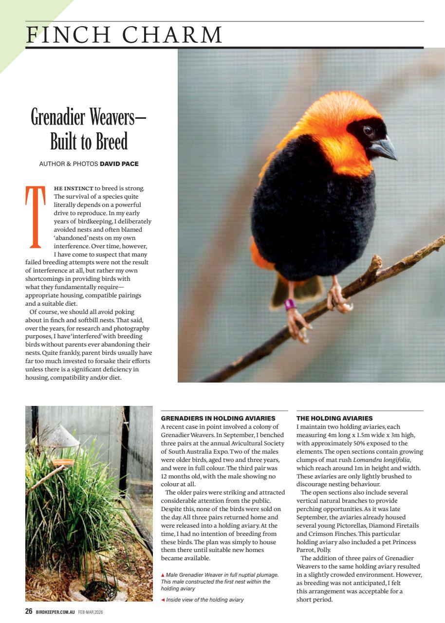 Australian Birdkeeper Magazine Preview Pages