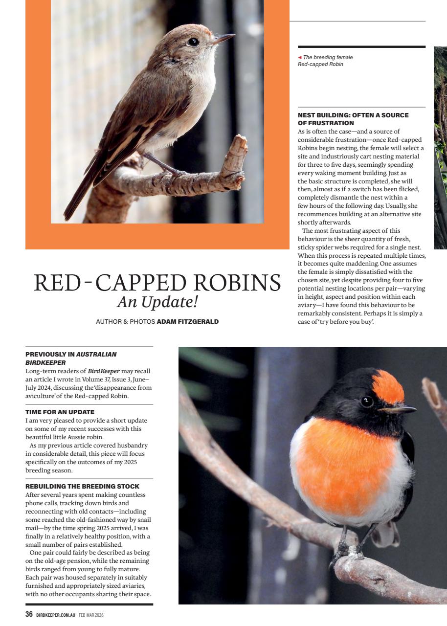 Australian Birdkeeper Magazine Preview Pages