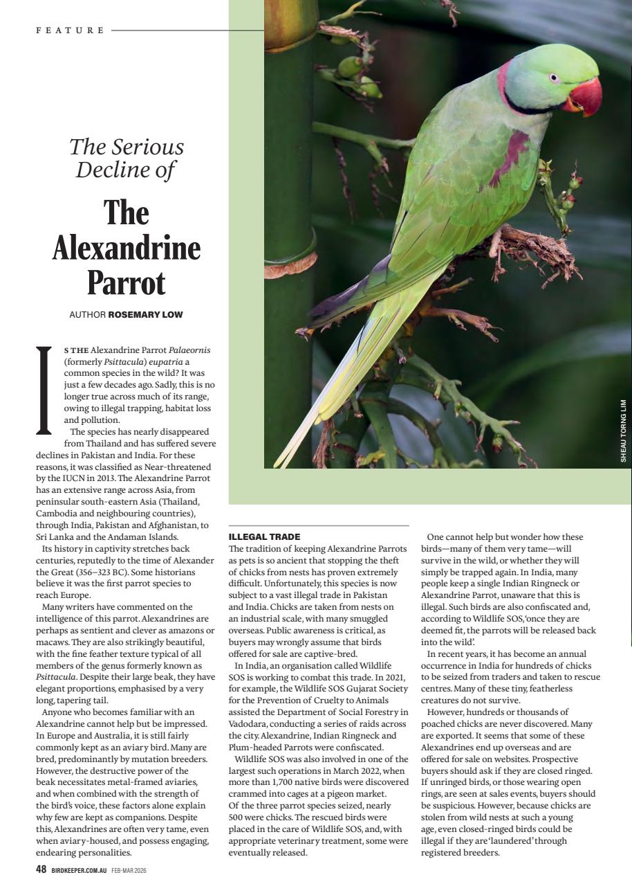Australian Birdkeeper Magazine Preview Pages