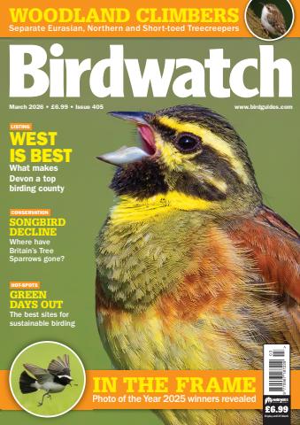 Birdwatch Magazine issue March 2026
